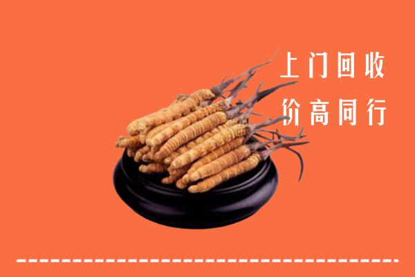 皮山县回收冬虫夏草